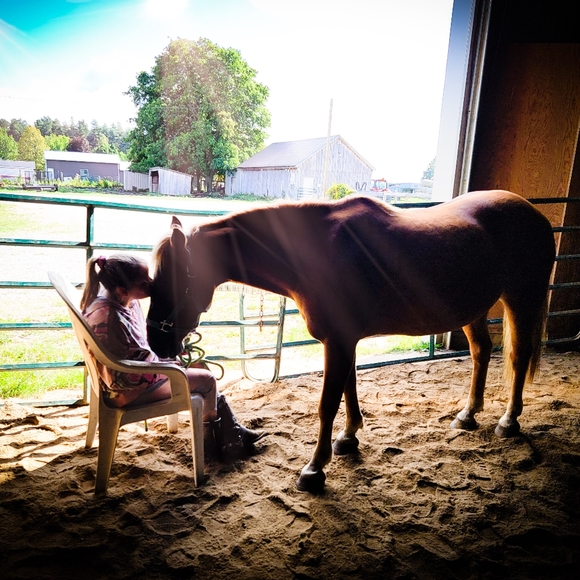 Meet your Posher, Heather - Picture 2 of 2